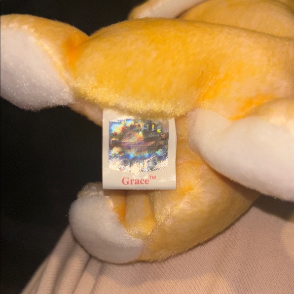 Grace the Praying Rabbit - Picture 5 of 6